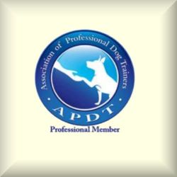 apdt2