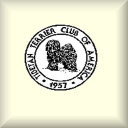 tt club